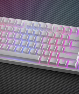 Tastatūra Genesis | Mechanical Gaming Keyboard | THOR 404 TKL RGB | White | Mechanical Gaming Keyboard | Wired | US | USB Type-A | 1005 g | Gateron Yellow Pro  Hover