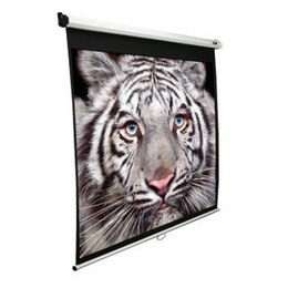 Elite Screens | M139NWX | Diagonal 353  | 16:10 | Viewable screen width (W) 2.98 cm | White