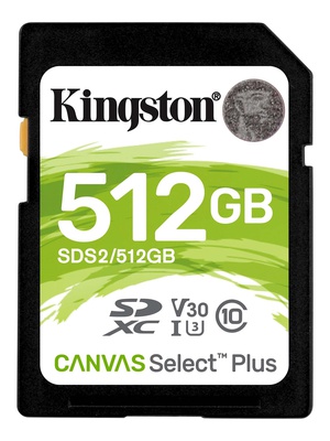  KINGSTON 256GB UHS-I SD Memory Card (Class 10) | Kingston  Hover