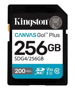  Kingston | Canvas Go! Plus | 256 GB | SD | Flash memory class Class 10  Hover
