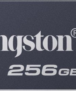  Kingston USB Flash Drive | DataTraveler SE9 G3 | 256 GB | USB Type-A | Black  Hover