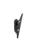  Gembird | Wall mount | WM-42T-02 | Tilt | 23-42  | Black