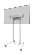  Neomounts Floor stand | FL55-875WH1 TV trolley | Adjustable Height | 55-100  | Maximum weight (capacity) 110 kg | White