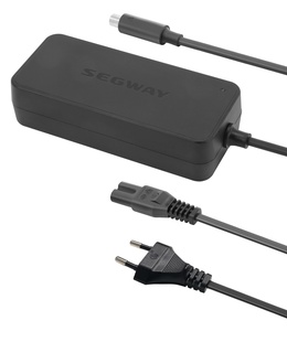  Segway 36V Kickscooter charger  Hover