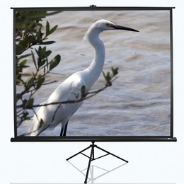  T120NWV1 | Tripod Series | Diagonal 120  | 4:3 | Viewable screen width (W) 244 cm | White