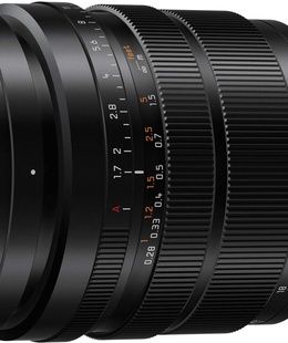  Panasonic Leica DG Vario-Summilux 10-25mm f/1.7 ASPH. lens  Hover