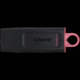 KINGSTON DTXS/256GB