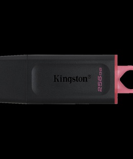  KINGSTON DTXS/256GB  Hover