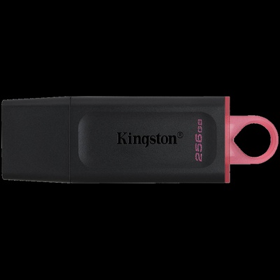  KINGSTON DTXS/256GB