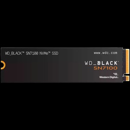  WESTERN DIGITAL WDS100T4X0E-00CJA0