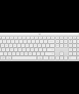 Tastatūra LOGITECH 920-012466  Hover