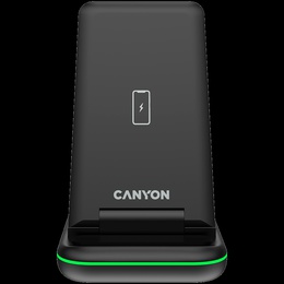  CANYON CNS-WCS304B