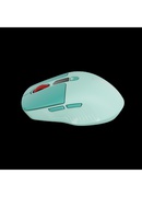 Pele CANYON CNS-CMSW26GR Hover