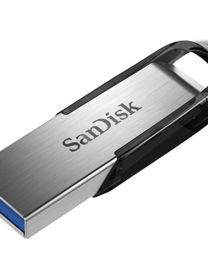 SANDISK SDCZ73-256G-G46  Hover
