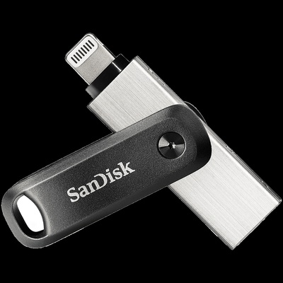 SANDISK SDIX60N-128G-GN6NE