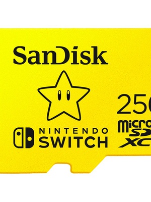  SANDISK SDSQXAO-256G-GNCZN  Hover