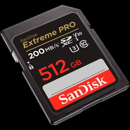  SANDISK SDSDXXD-512G-GN4IN