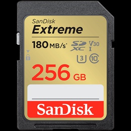  SANDISK SDSDXVV-256G-GNCIN