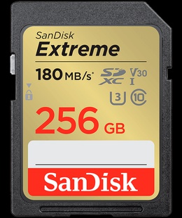  SANDISK SDSDXVV-256G-GNCIN  Hover