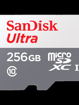  SANDISK SDSQUNR-256G-GN3MN  Hover