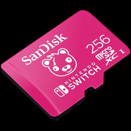  SANDISK SDSQXAO-256G-GN6ZG