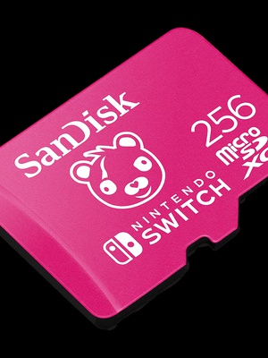  SANDISK SDSQXAO-256G-GN6ZG  Hover