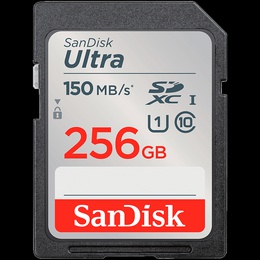 SANDISK SDSDUNC-256G-GN6IN