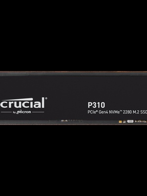  CRUCIAL CT1000P310SSD8  Hover
