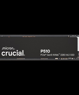  CRUCIAL CT1000P510SSD8  Hover