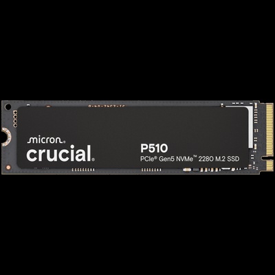  CRUCIAL CT1000P510SSD8
