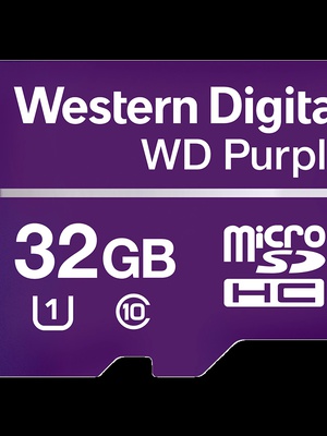  WESTERN DIGITAL WDD032G1P0C  Hover