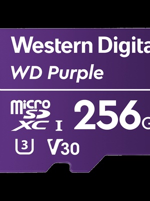  WESTERN DIGITAL WDD256G1P0C  Hover