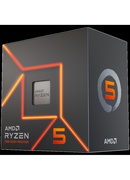 AMD 100-100001405WOF