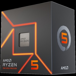 AMD 100-100001405WOF