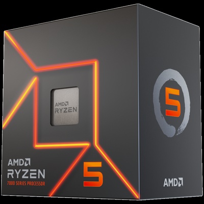 AMD 100-100001405WOF