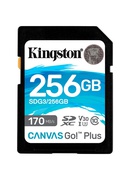  KINGSTON SDG3/256GB