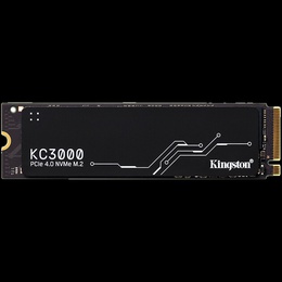  KINGSTON SKC3000S/1024G