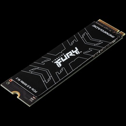  KINGSTON SFYRS/1000G