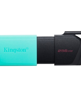  KINGSTON DTXM/256GB  Hover
