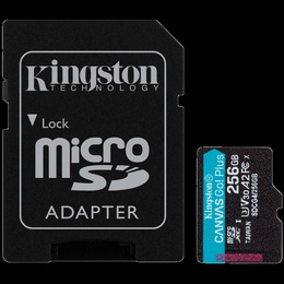  KINGSTON SDCG4/256GB