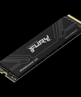  KINGSTON SFYR2S/1T0  Hover