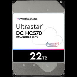  WESTERN DIGITAL WUH722222ALE6L4